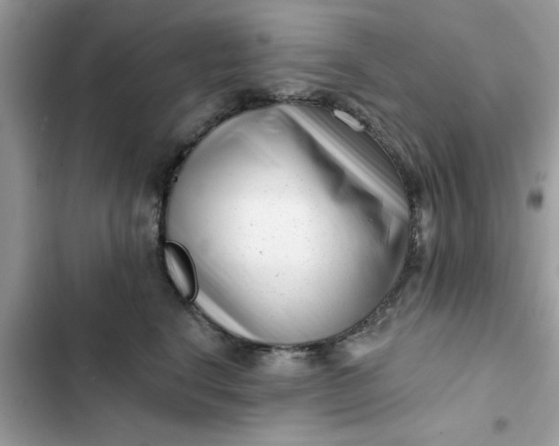 X0000102350664200808151752