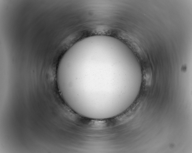 X0000102350665200808151752