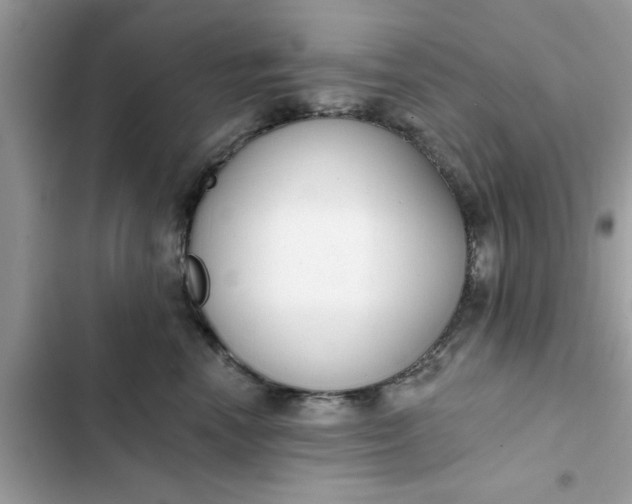 X0000102350666200808151752