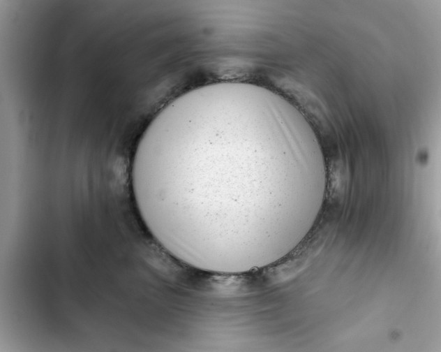 X0000102350667200808151752