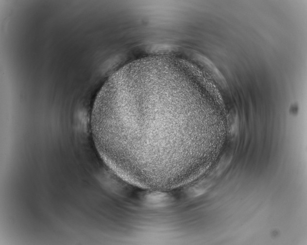 X0000102350669200808151752