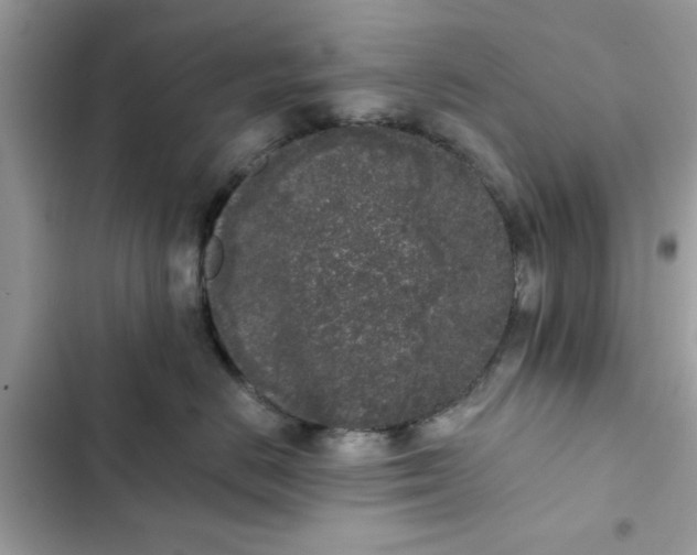 X0000102350670200808151752