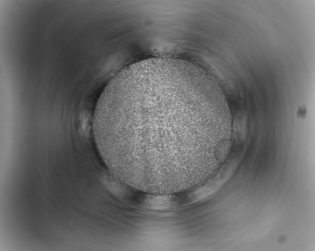 X0000102350671200808151752