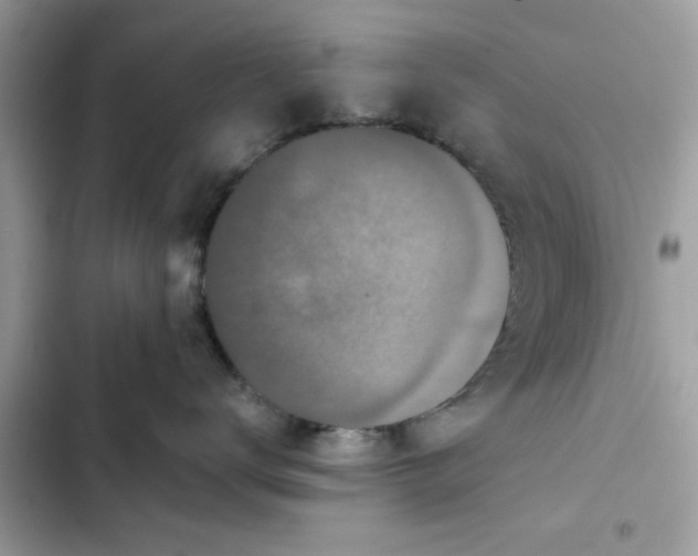 X0000102350672200808151752