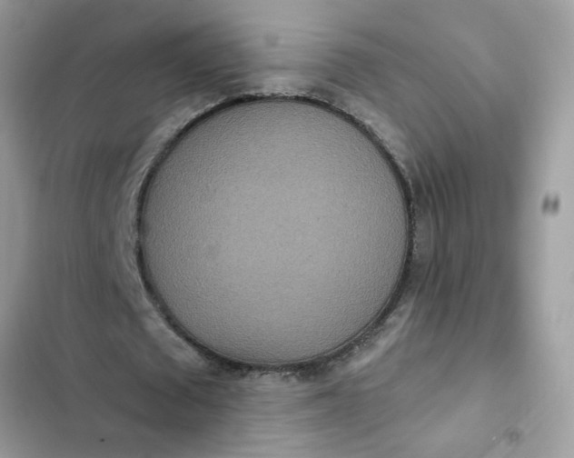 X0000102350673200808151751