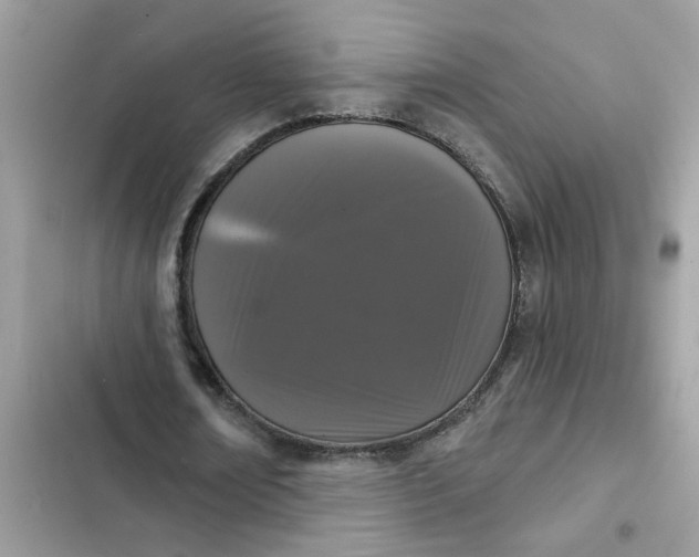 X0000102350674200808151751