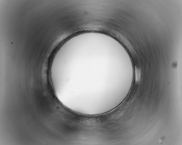 X0000102350675200808151751