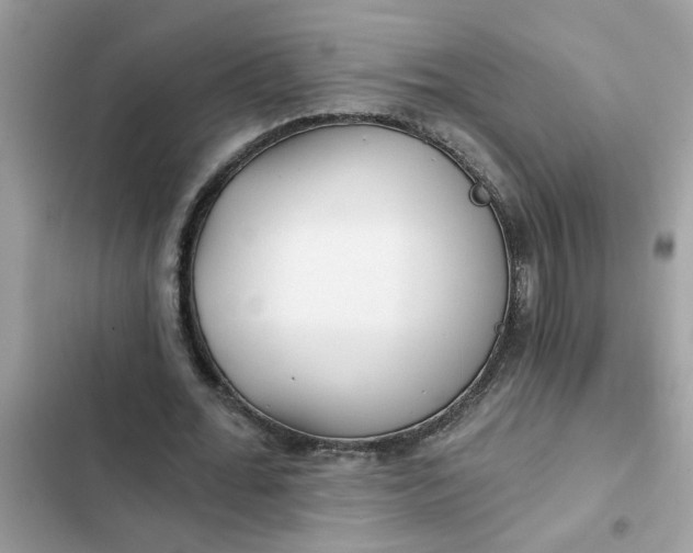 X0000102350676200808151751