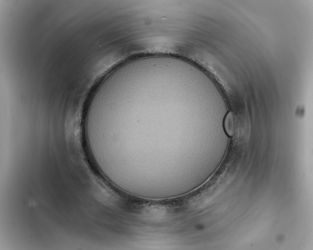 X0000102350677200808151751