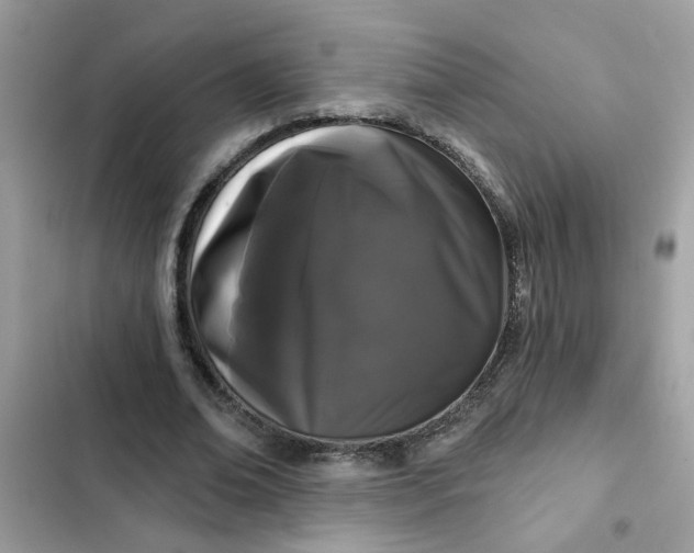 X0000102350678200808151751