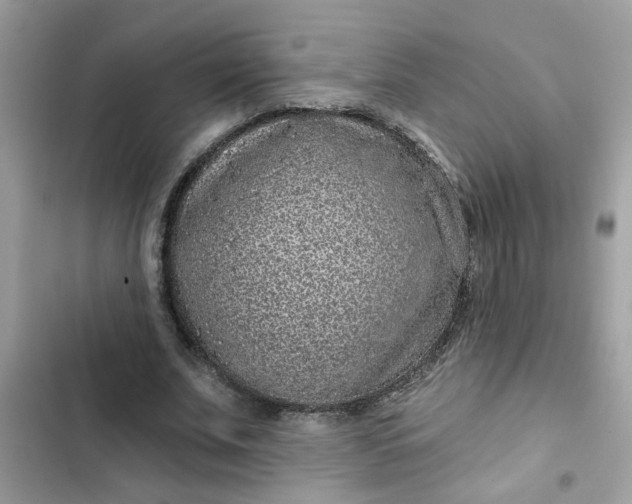 X0000102350679200808151751