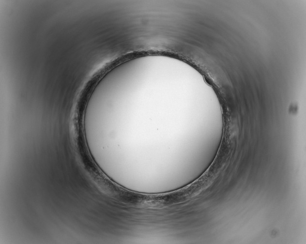 X0000102350680200808151751