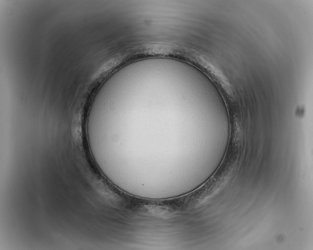 X0000102350681200808151751