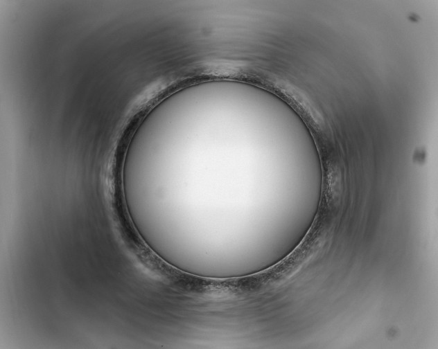 X0000102350682200808151751