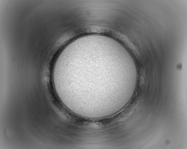 X0000102350683200808151751