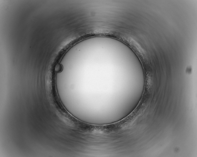 X0000102350684200808151751