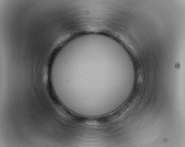 X0000102350685200808151751