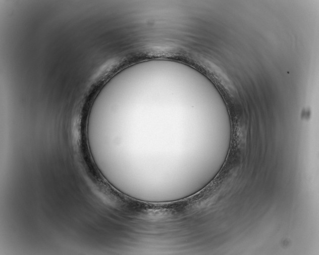 X0000102350686200808151751