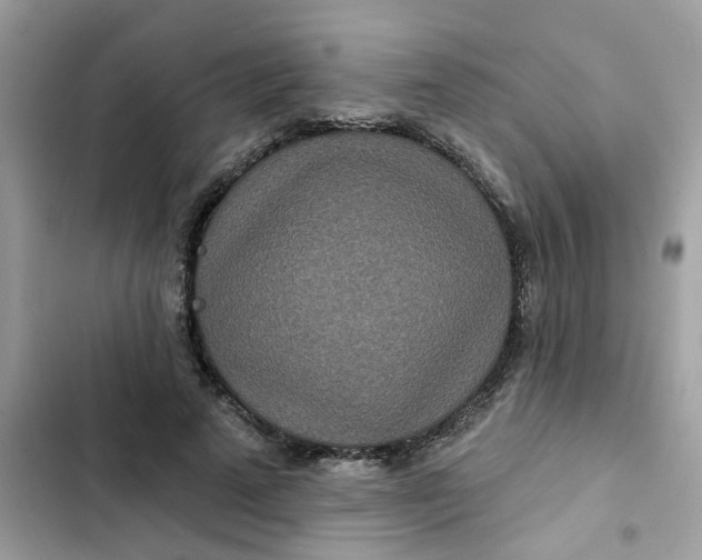 X0000102350689200808151751