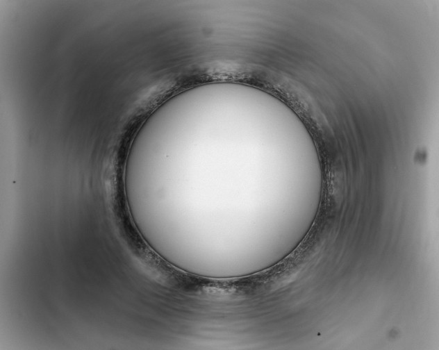 X0000102350690200808151751