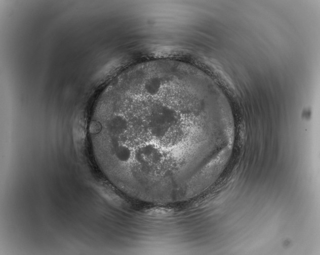 X0000102350691200808151751