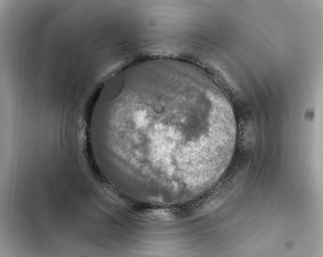 X0000102350692200808151751