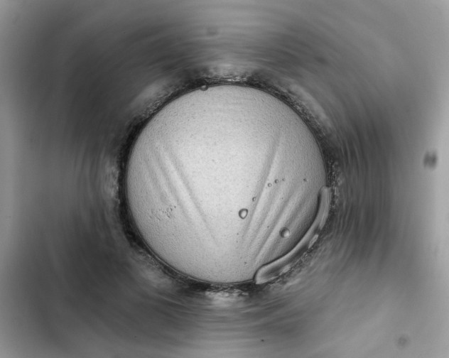 X0000102350693200808151751