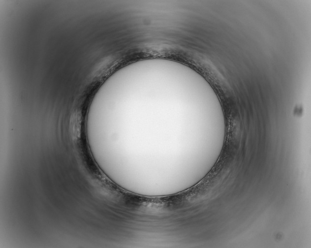 X0000102350694200808151751