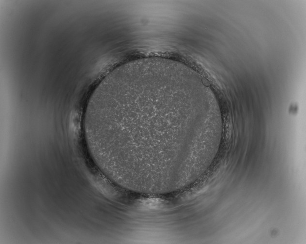 X0000102350695200808151751