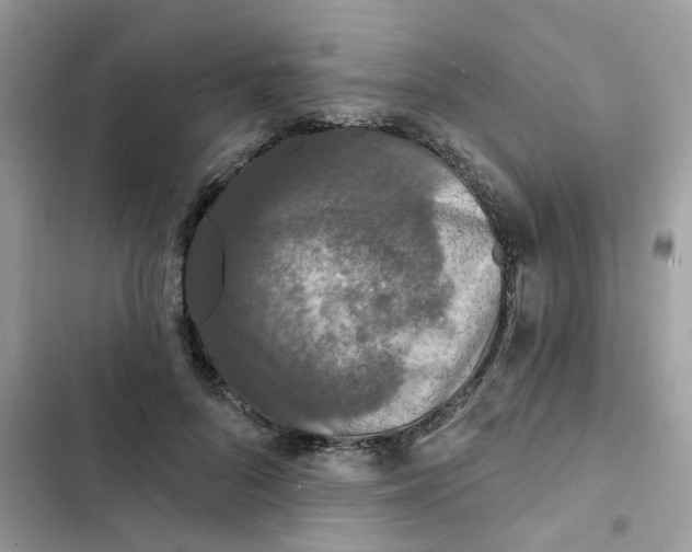 X0000102350696200808151751