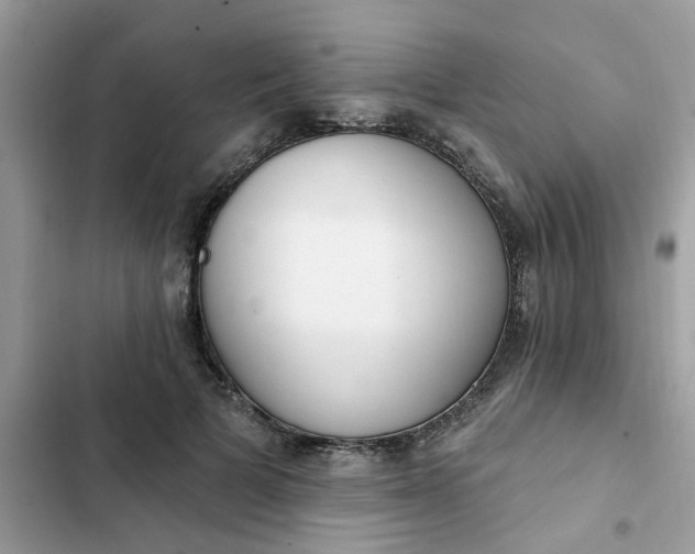 X0000102350697200808151751