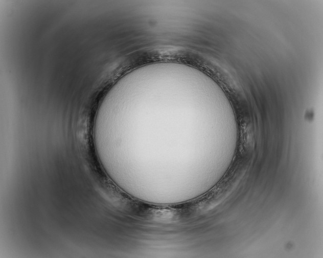 X0000102350698200808151751