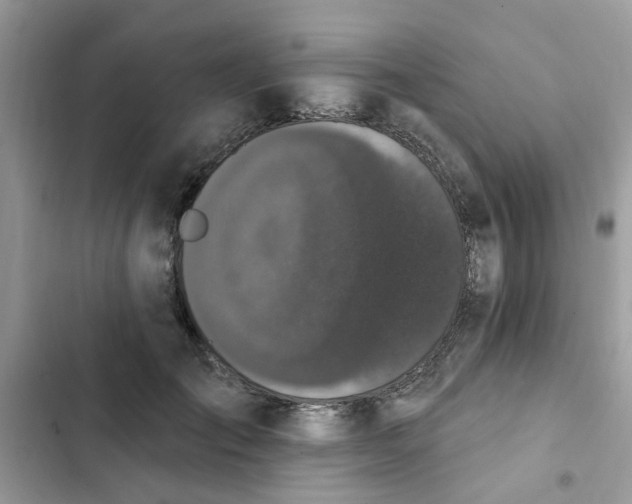 X0000102350701200808151751