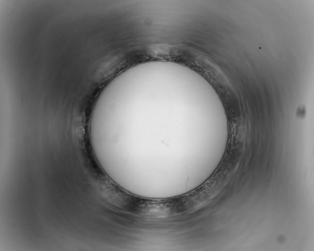 X0000102350702200808151751