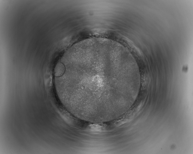 X0000102350703200808151750