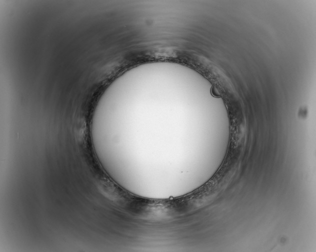 X0000102350704200808151750