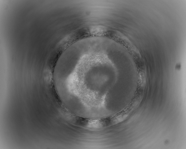 X0000102350705200808151750