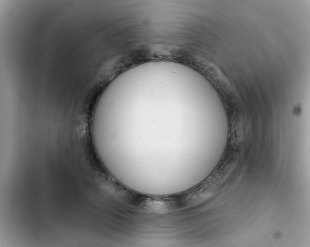 X0000102350706200808151750