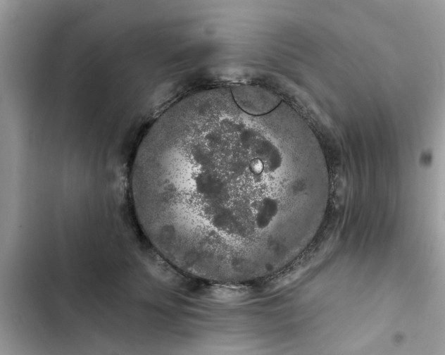 X0000102350707200808151750