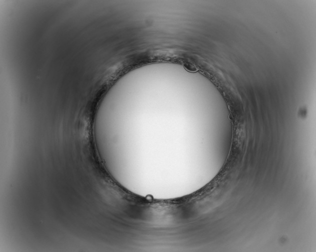 X0000102350708200808151750