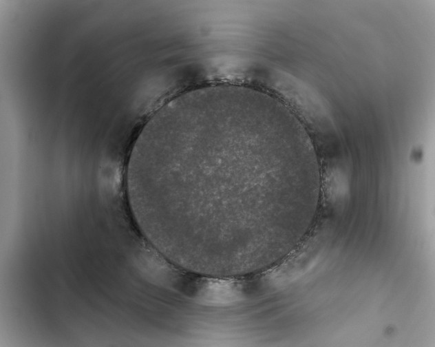 X0000102350709200808151750