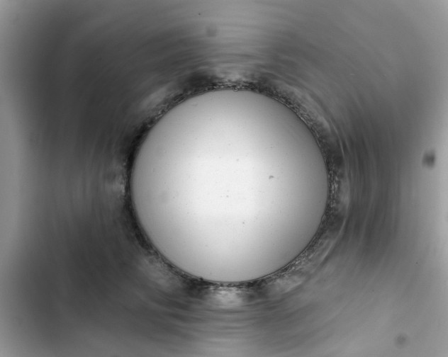 X0000102350710200808151750