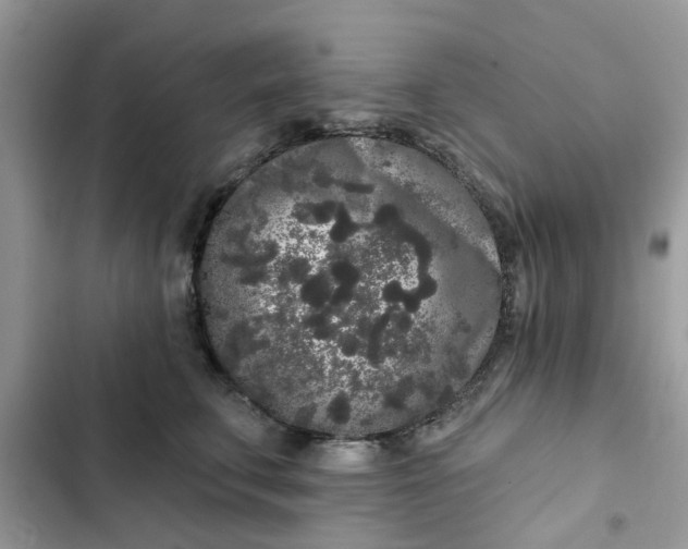 X0000102350711200808151750