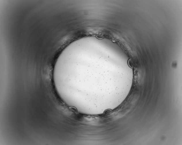 X0000102350712200808151750