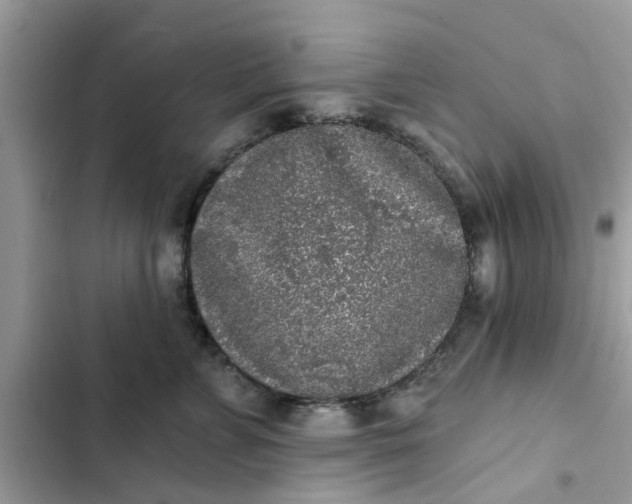 X0000102350715200808151750