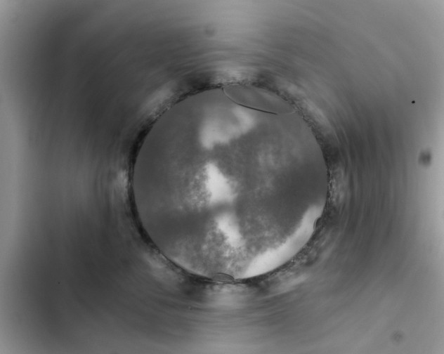 X0000102350716200808151750