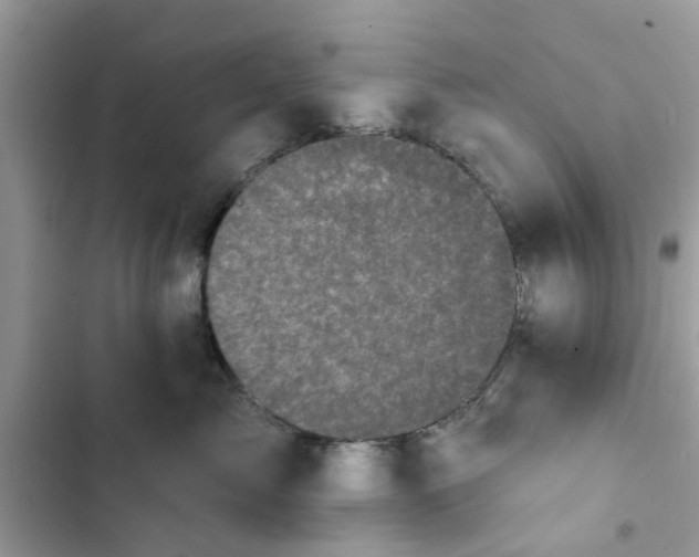 X0000102350717200808151750