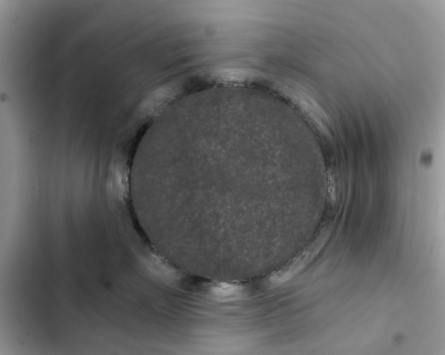 X0000102350718200808151750