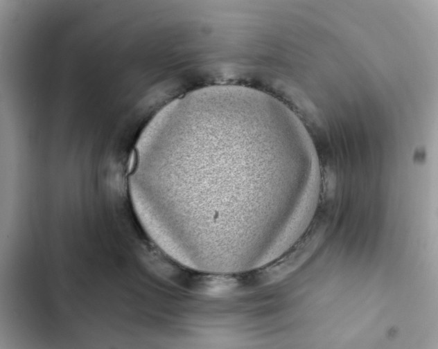 X0000102350719200808151750