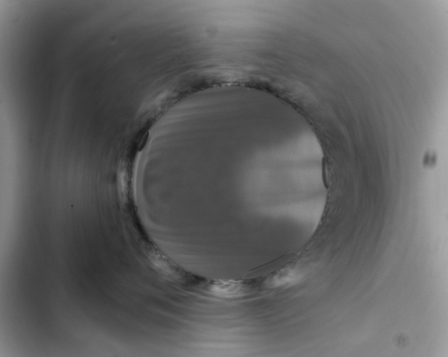 X0000102350720200808151750